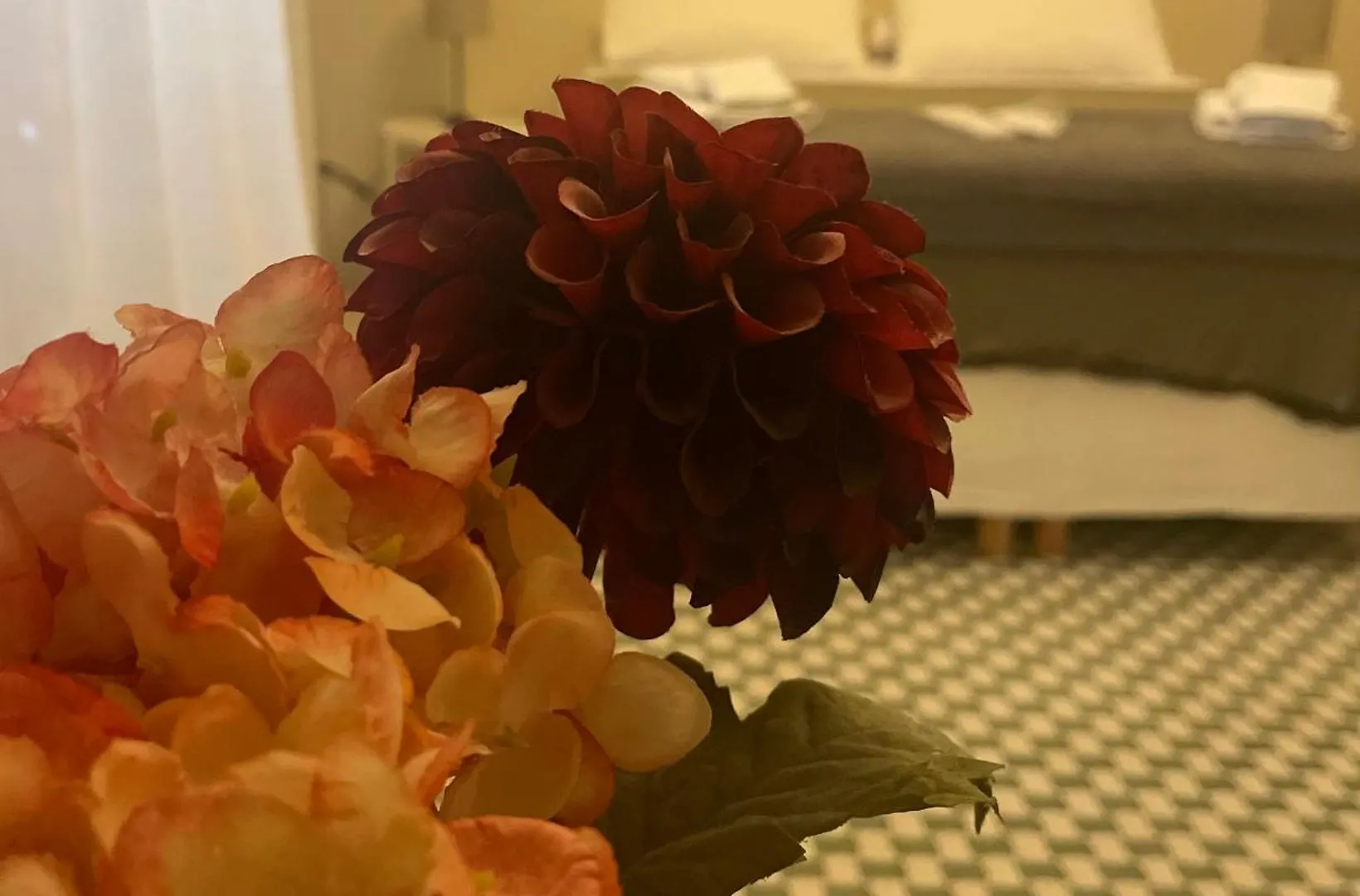Barrique Guest House Free Bus From The Airport One Way Palermo
